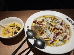 -太二酸菜鱼(东方宝泰店)