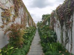 -养云安缦吧THE BAR