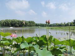 -东郊湿地公园