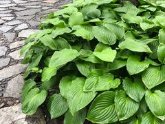 -北语时光西餐厅