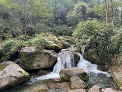 -青城山