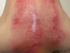 -经禅和·中医推拿(百家湖店)