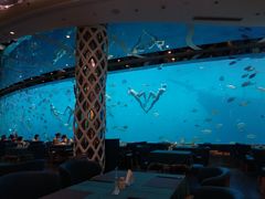 -瑞德姆美人鱼海底演艺主题餐厅(亚龙湾店)
