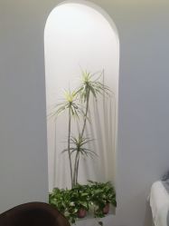 -VE小颜皮肤管理&科学美肤中心
