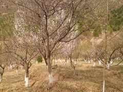 景点-仙居谷风景区