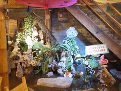 -多哥水傣味餐厅(司马巷店)
