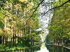 -上海共青森林公园