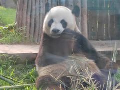 -大连森林动物园