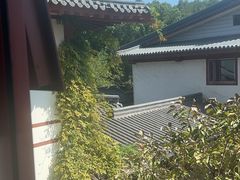 -唐风温泉