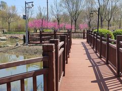 -大鸭梨烤鸭·北京菜(大兴南小街店)