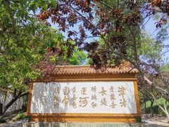 -桃花堤公园