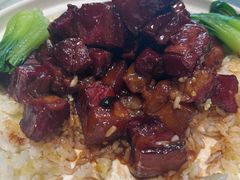 -海派美食·家宴海鲜青岛菜·石锅鲽鱼头(东方城店)