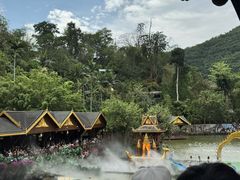 -西双版纳原始森林公园
