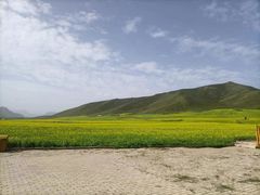 -扁都口生态休闲旅游区