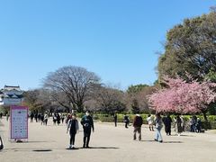-名古屋城