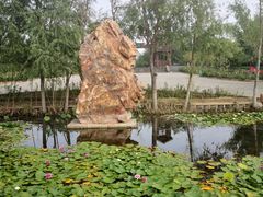 -绿堤公园