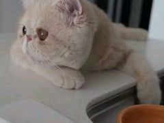 -黄记煌三汁焖锅(崇文门店)