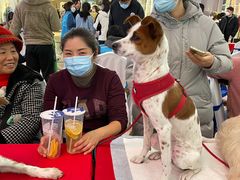 -万达广场(松江店)