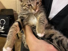 -逃脱反斗城沉浸剧情密室(北京路店)