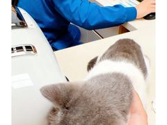 -瑞派康怡24h宠物医院·犬猫医疗中心·微创绝育(瑞景分院)