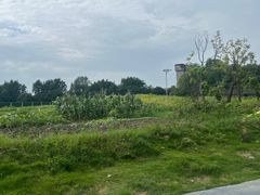 -两河城市森林公园