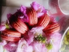 -小苍兰风铃草蛋糕甜品(沈阳店)