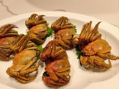 -海味观(老西门店)