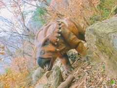 -木兰云雾山