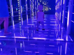 -廊坊固安福朋喜来登酒店