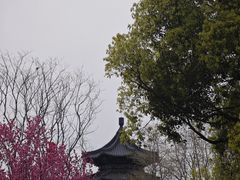 -凤城河风景区