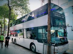 -Big Bus Tours 敞篷观光巴士