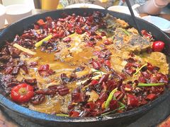 -老板恋上鱼(印象城店)