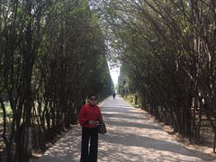 -函谷关历史文化旅游区