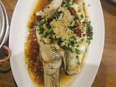 -盐官日光域房车营地·有盐餐厅