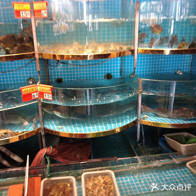 特色菜今日之选