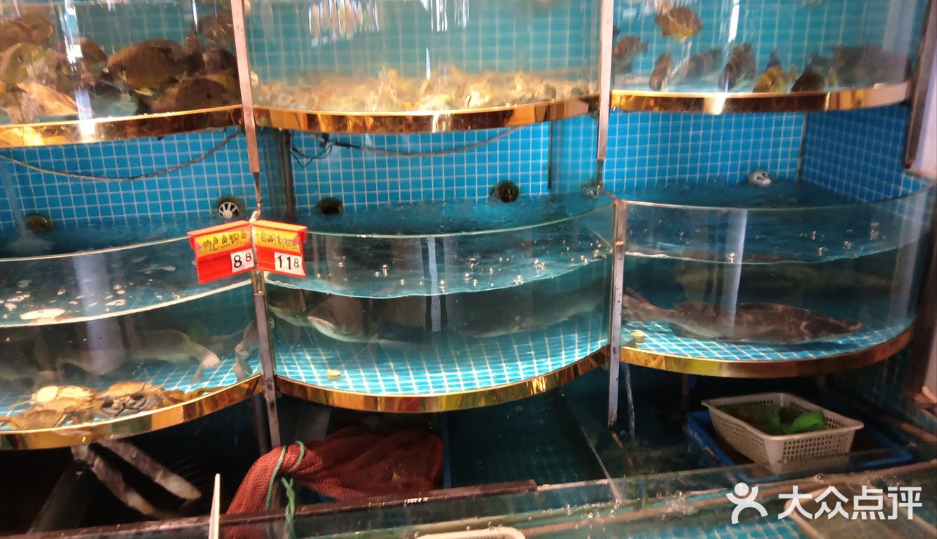 特色菜今日之选