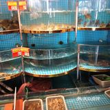 特色菜今日之选