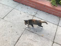 -仟吉(沿港路店)