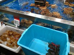 水产区-盒马鲜生(红莲店)