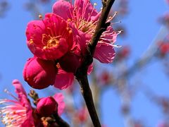 -狼山风景名胜区