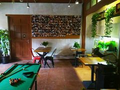 -百好乐宠物友好餐厅(朝外大街店)