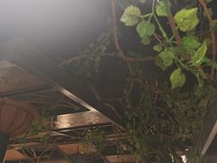 -龙抄手食府(浣花北路店)