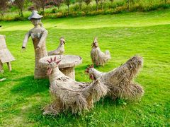 -建华生态湿地百荷园