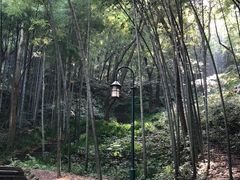 -杭州黄龙洞