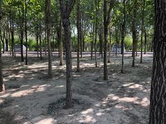 -第五季龙水凤港生态露营农场