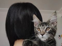 -FAELING PETS美天灵宠物(合生汇店)