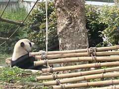-黔灵山公园