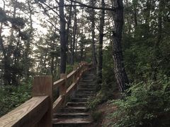 -西尖山公园