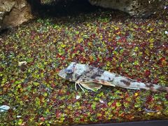 -海合安武汉极地海洋公园