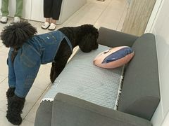 -萌兽医馆·眼科·异宠专科(三里屯店)